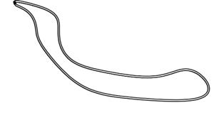 CORDELETTE DE SECURITE NYLON, L = 300